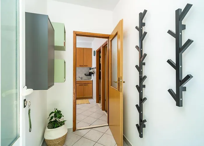 Apartment Moapartment Cilipi